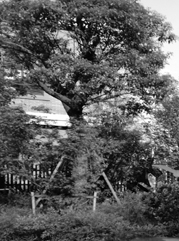 毕节注册公司